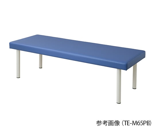 Colorful examination table 650 x 1900 x 500 mm Light blue TE-L6519PB 1 piece