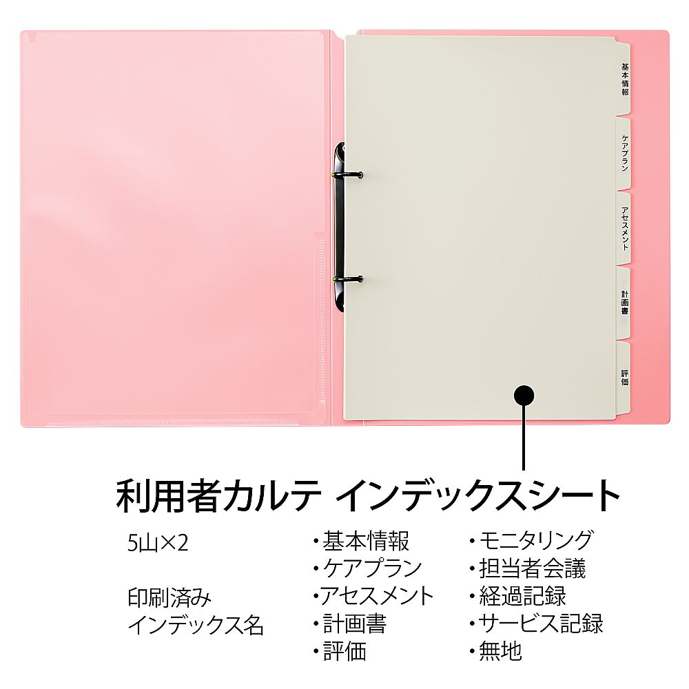 Patient record file (ring file) Pink FL-804RF 1 file