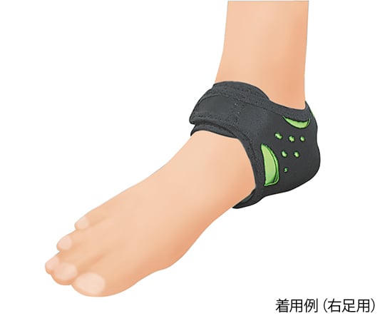 힐 얼라인먼트 bonbone L 왼발용 000-3932 1개