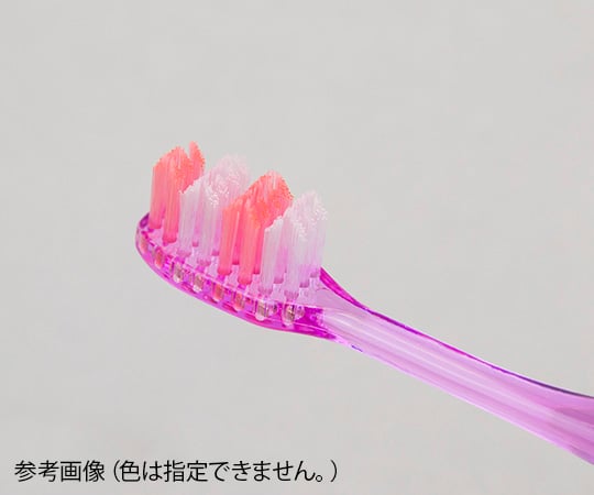 Clesh　山切りカットハブラシ　かため 1本