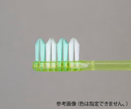 Clesh　山切りカットハブラシ　かため 1本