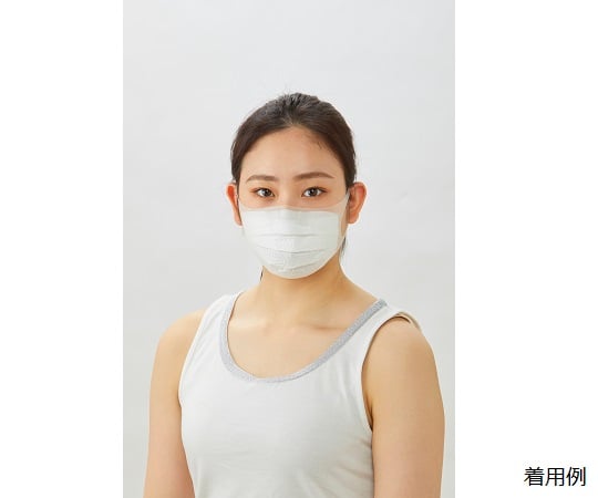 マスピタ　やや大きめサイズ 1枚