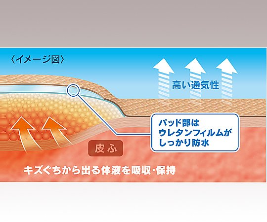 CareLeave™ Healing Power (Emergency Bandage) EOG Sterilized L 9 pieces CN9L 1 box (9 pieces)