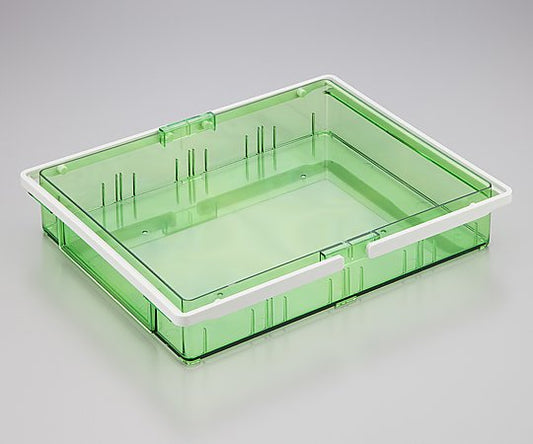 Combination medication box, outer box with handle, green, 1 piece