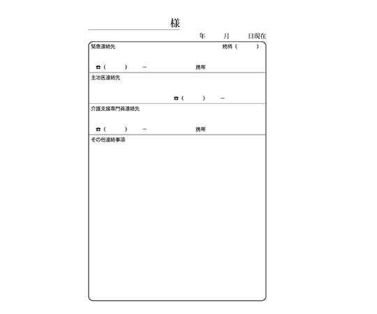 看護・介護記録用紙 リズミィ1 デイ日誌 B6 1セット（50組×20冊入） 1セット(50組×20冊入)