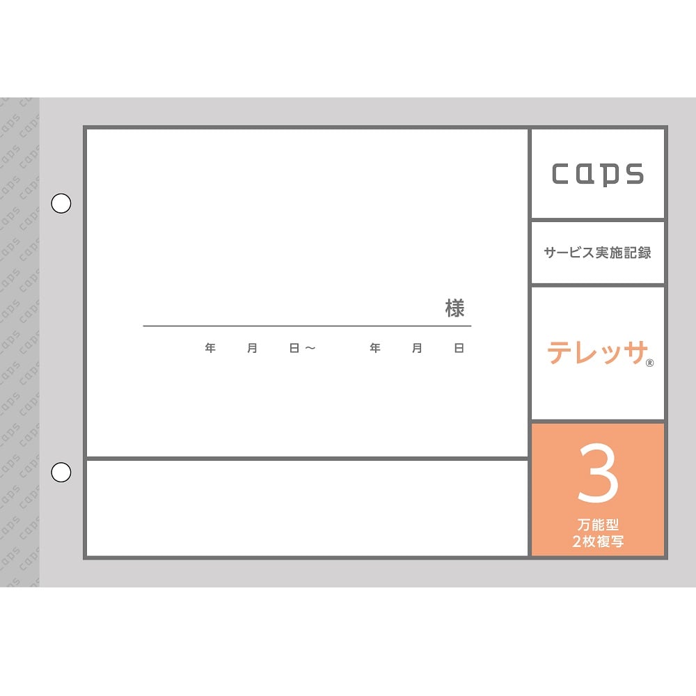 看護・介護記録用紙 テレッサ3 サービス実施記録 A5 1セット(50組×20冊入)　M07123 1セット(50組×20冊入)