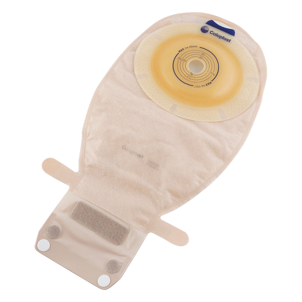 センシュラ1プラス（凸面）φ15～43mm 1箱（10枚入）　15606 1箱(10枚入)