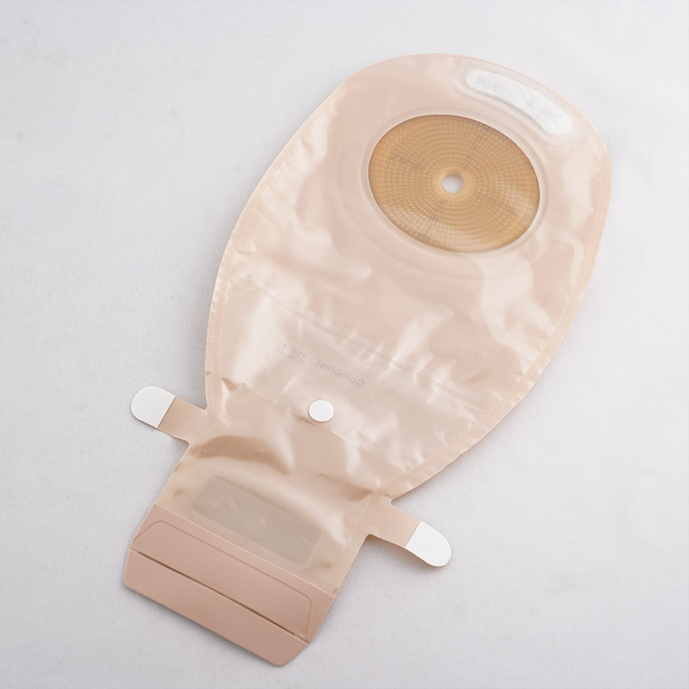 センシュラ1（単品系装具）φ10～76mm 1箱（10枚入）　15521 1箱(10枚入)