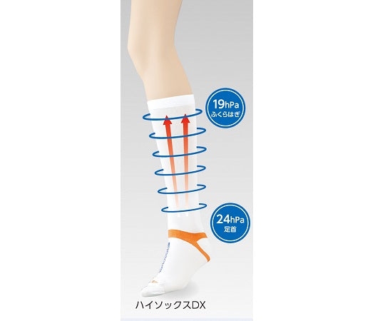 Bestcare Compression Stockings DX (High Socks DX) L High Socks DX L 1 pair