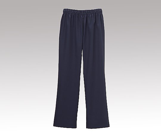 ストレートパンツ（後ろ右ポケット付き）インディゴブルー／L　DS-3001 1枚