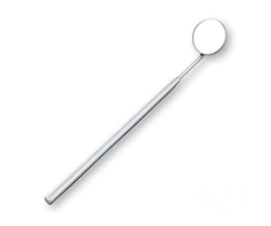 치경(φ22×155mm) E250-270 1개