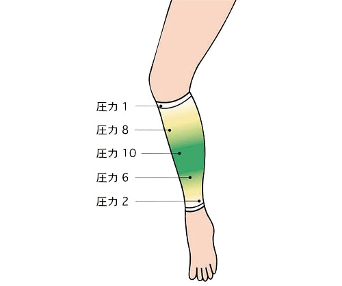 アシカール ホワイト 1箱（2枚入）　7421 1箱(2枚入)