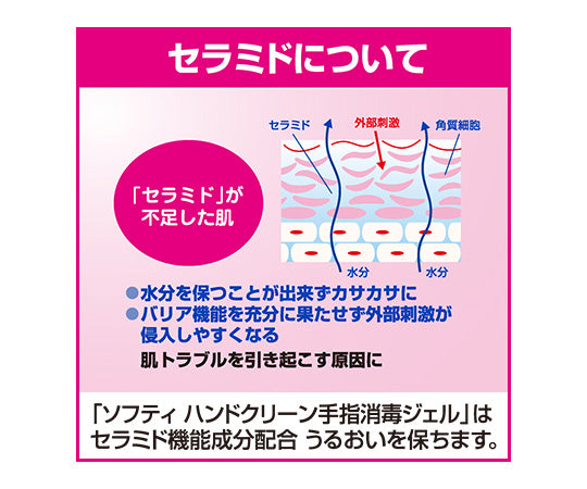 ソフティ ハンドクリーン手指消毒ジェル 250mL 業務用 1本