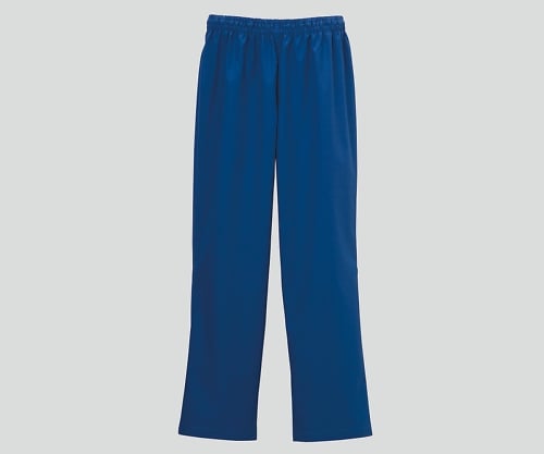 스트레이트 팬츠(뒤 오른쪽 포켓 첨부) 로열 블루/M DS-3001 1장