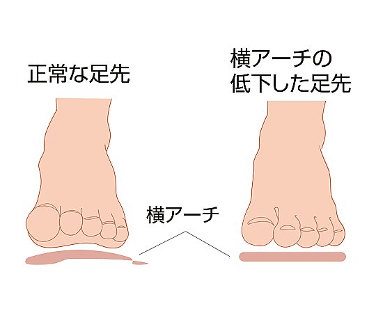 Horizontal Arch Support Thin Type [Sorbo] L 25.0-27.5cm 63299 1 pair/bag