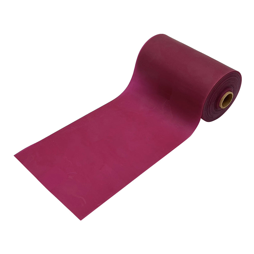 レップバンド レベル5（紫）　YK135990 1巻