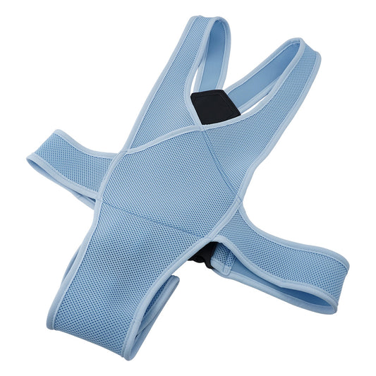 Wheelchair belt, large size, blue, 4010, 1 piece