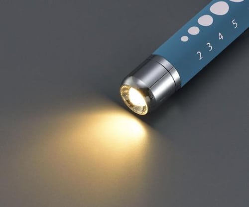 고무 톤 소프트 LED 펜 라이트 (롱) 블루 1 개