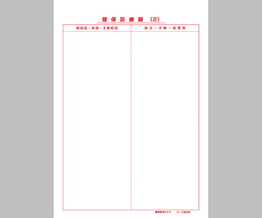 健保カルテ B5サイズ 1袋（100枚入）　2号紙 302 1袋(100枚入)