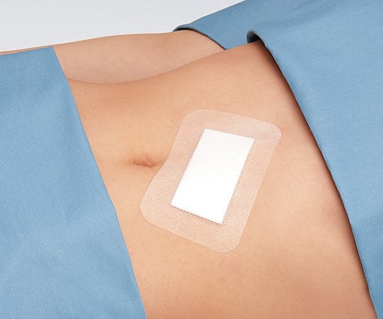 カテリーパッドマイルド 80×120mm 1箱（25枚入）　No.0812 1箱(25枚入)