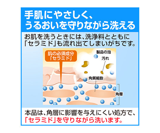 ソフティ　EX‐CARE（エクスケア）　泡ハンドウォッシュ　500mL　業務用 1本