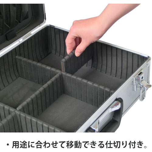 JEJ 어스테이지 ACCS 컴팩트 알루미늄 케이스 T3AA-C T3AA-C 1개