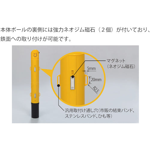 Ｒｅｅｌｅｘ　プラチェーン６．５Ｍ内蔵伸縮ポール　バリネオ（マグネットタイプ）　BN-665Y　1 本