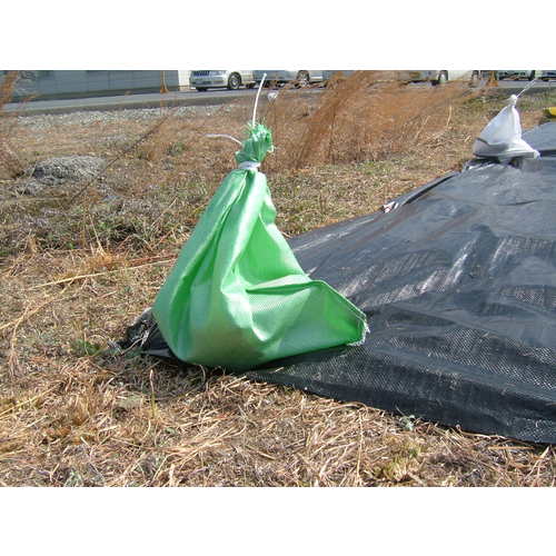 ＴＲＵＳＣＯ　強力カラー袋　グリーン　（１Ｓ（袋）＝１０枚入）　TKB4862GN　1 Ｓ