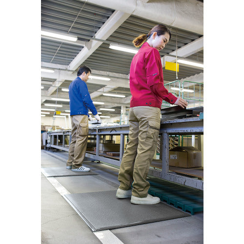 Teramoto Tera Cushion Extra Thick Gray 450 x 600 mm MR-069-020-5 1 piece