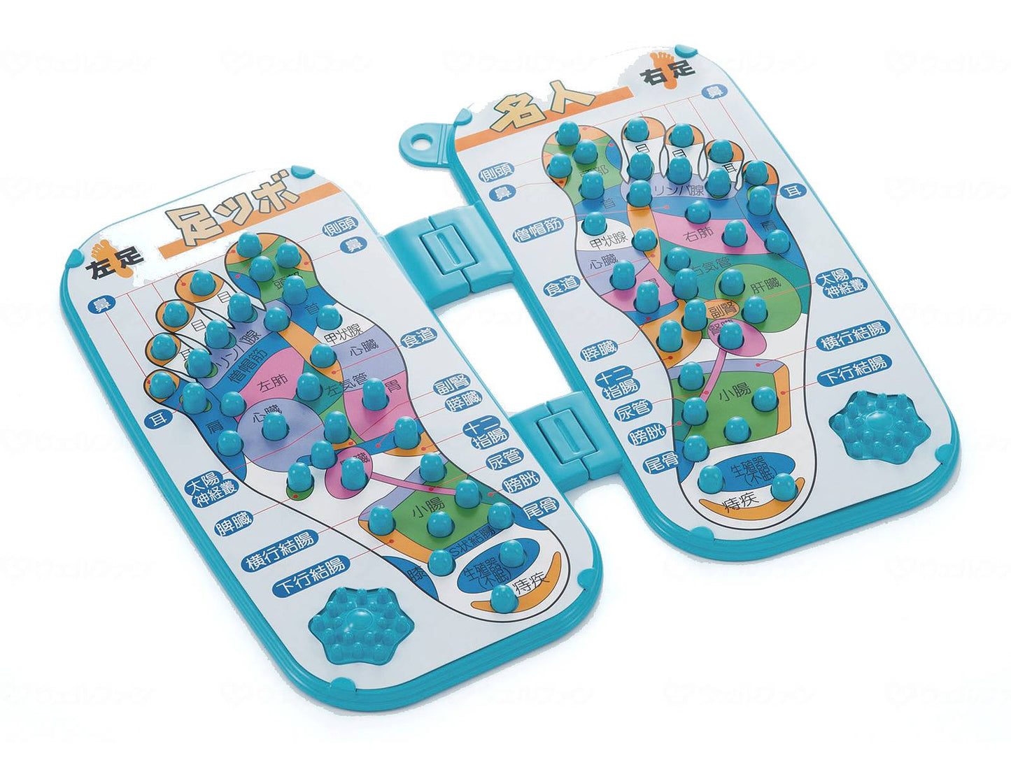 MI 클리어션 즈비테이샤시프 아시노보 명인