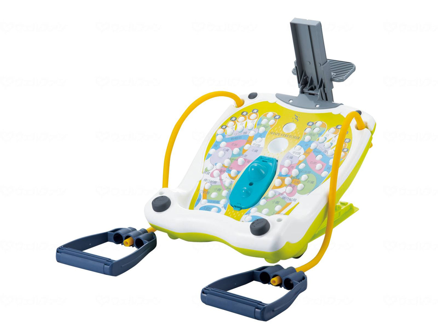 MI 클리어 션즈 쉬프스트 레치 플랫트