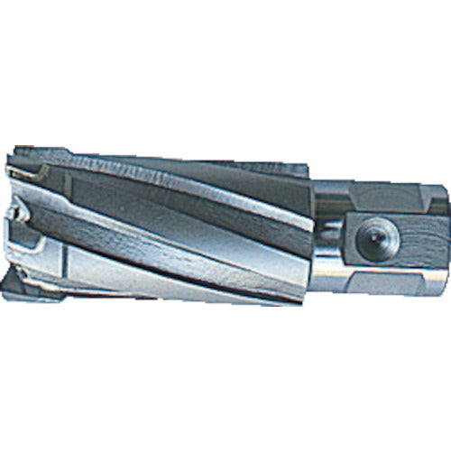 Omi 35SQ Clinky Cutter, Blade diameter 17.5mm, CCSQ175, 1 piece