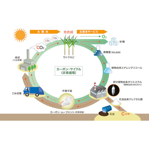 ミドリ安全　プランテックスグローブ　ウレタン背抜き　１０双入　Ｓ　PLANTEX-PU-SENUKI-S　1袋