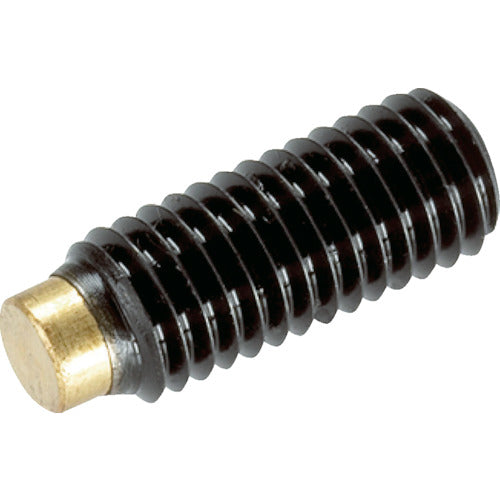 HALDER Pressure Screw with Brass Pin, Outer Diameter M12, Length 22.5, 22760.0124, 1 Piece