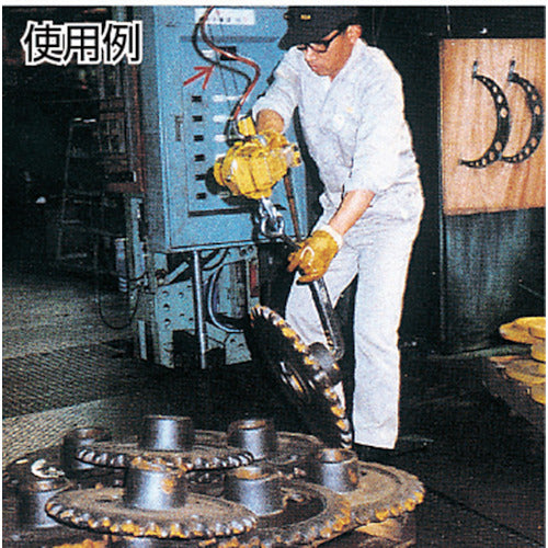 ＥＮＤＯ　エアーホイスト　ＥＨＷ−１２０　１２０ｋｇ　１．９Ｍ　０．６ＭＰａ　EHW-120　1 台