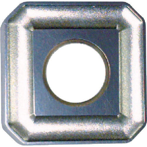 Fujigen Face Processing N-Type Standard Chip NK2001 N43MOZ 12 Pieces