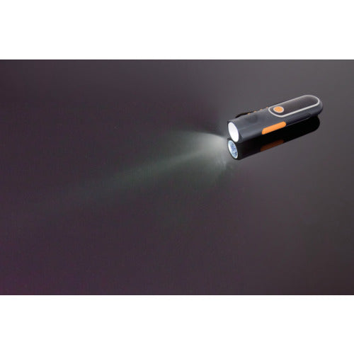 NICHIDO Self-powered LED light, hand-crank charging type, with radio, LEH-05W-PG, 1 unit