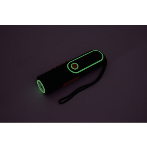 NICHIDO Self-powered LED light, hand-crank charging type, with radio, LEH-05W-PG, 1 unit