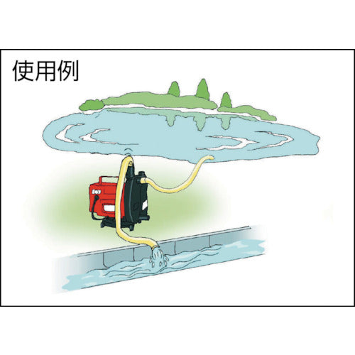 TERADA 셀프 라핸디 펌프 HP-100 1대