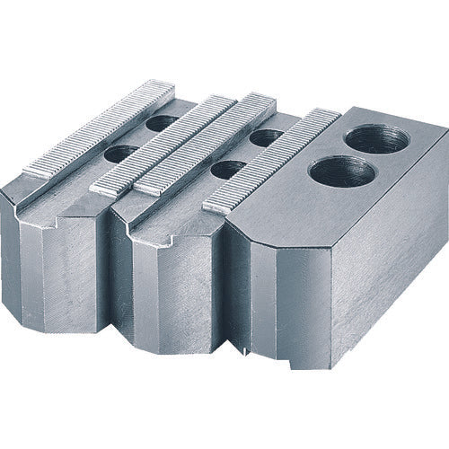 TRUSCO 생 네일 강용 척 5 인치 N-5 1S