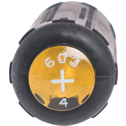 KLEIN Phillips screwdriver 2X100 6034 1 piece