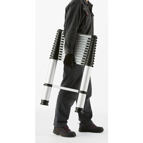 PiCa 신축 사다리 PTH-S420J 1대