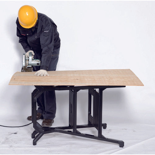 PiCa Workbench XPRO 1 unit