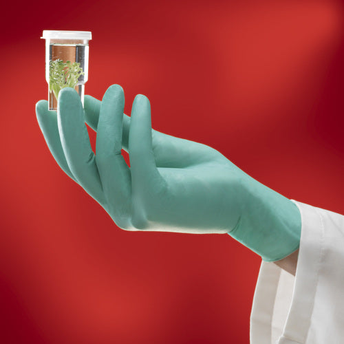 Ansell Chemical-Resistant Neoprene Rubber Disposable Gloves NeoTouch 25-101 L Size (100 Gloves) 25-101-9 1 Box