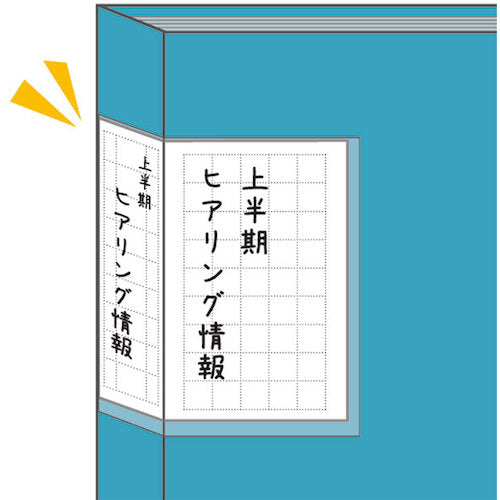 ＫＩＮＧ　ＪＩＭ　クリアーファイル「カキコ」　白　２３５×３１１ｍｍ　8632-W　1 冊