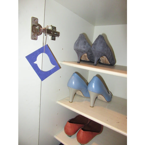 Taiyo Curious Odor Tri All Mighty N-A3BGR 1S