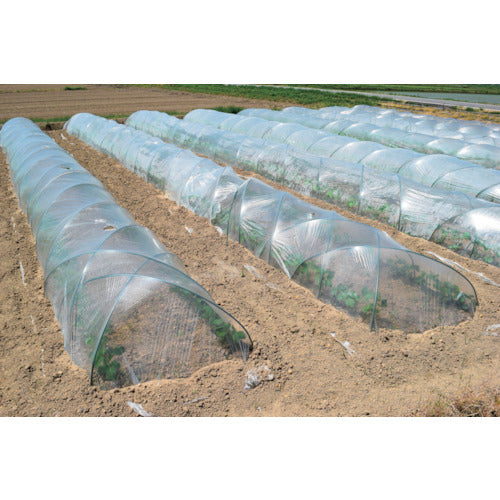 Dio PO 필름 투명 1.35×20m 252768 1권