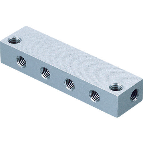 Einz Manifold Mini MM-10P 1 piece