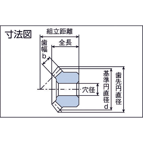 ＫＧ　フードコンタクト　青ＰＯＭ　ギヤシリーズ　マイタギヤ　歯数２５　穴径１２　M2BP25-4012　1個