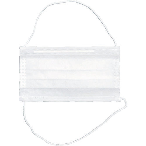 FPCO [Sold out and discontinued] Deep pleated mask 2PLY head wrap 2W RM2L 1 box